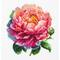 Luca-S Coral Charm Peony Counted Cross Stitch Kit with Display Hoop